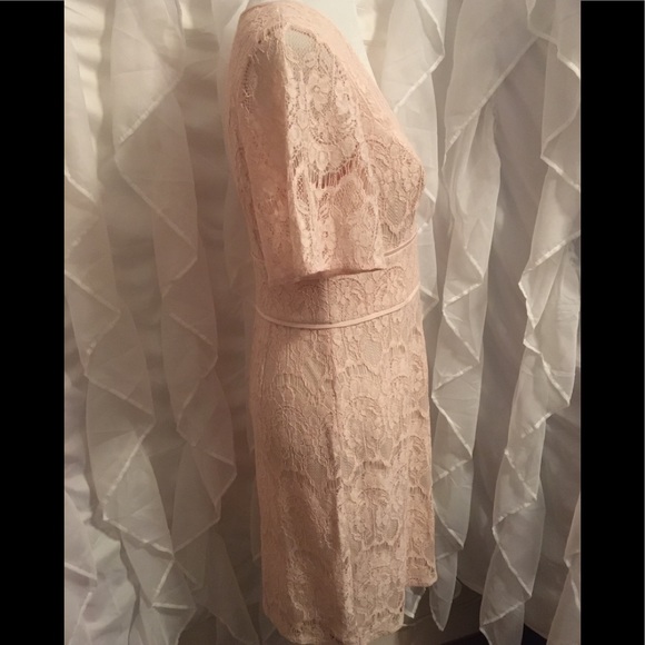 🆕 Adrianna Papell, 🌺” Lovely” in Blush, Size 8 - Picture 3 of 7